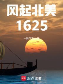 风起北美1625txt